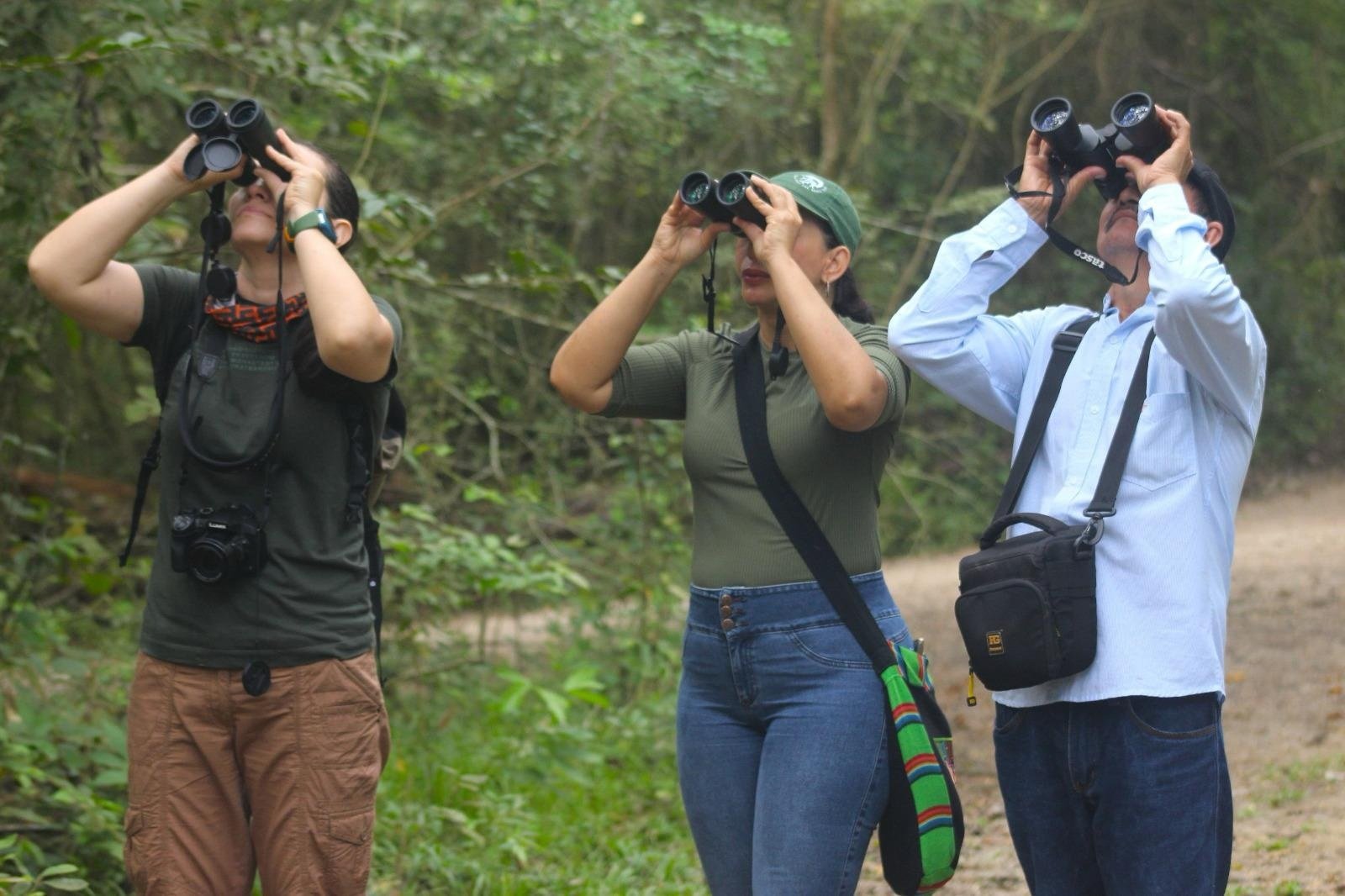 Más de 250 especies de aves fueron avistadas en áreas del Grupo Ecopetrol durante el Global Big Day