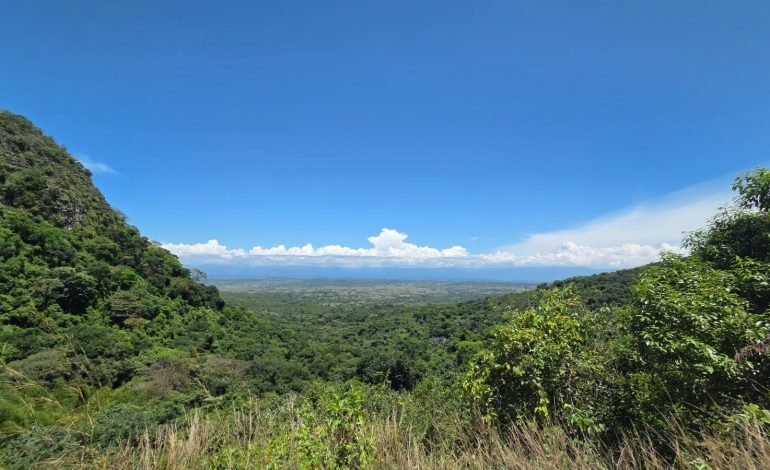 Ecopetrol e ISA Energía sellan acuerdo para conservar el bosque seco tropical en el Huila